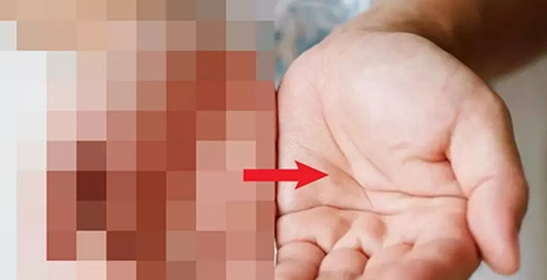 tecogan插件官网下载安装到手机-tecogan插件app最新版本免费下载 1.0