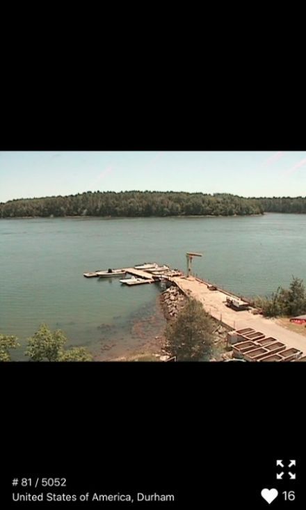 Cams官网下载安装到手机-Camsapp最新版本免费下载 1.1.4