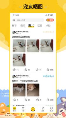 爱宠星球app下载免费版-爱宠星球最新版下载 1.1.1