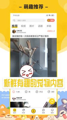 爱宠星球app下载免费版-爱宠星球最新版下载 1.1.1