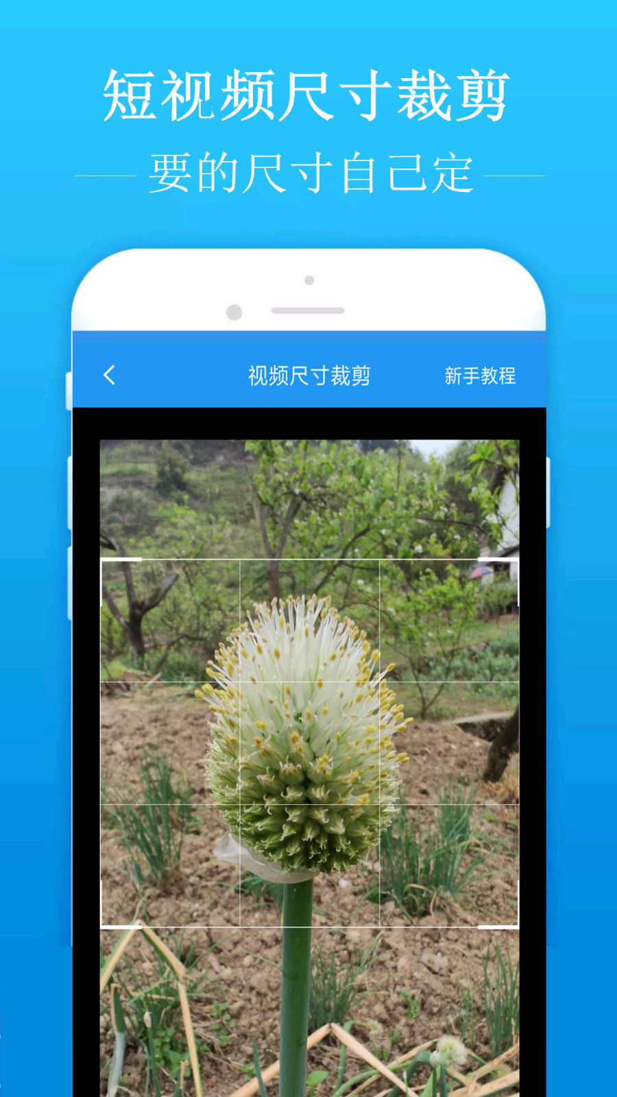 去水印吧app下载官方版-去水印吧app下载 1.8.1