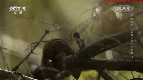 炫彩电视下载安装-炫彩电视app官网下载 1.0.0