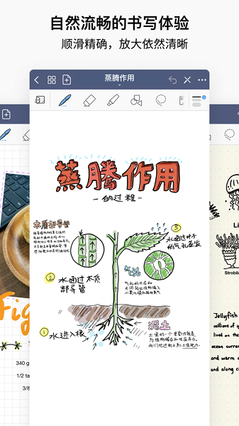 goodnotes5华为手机版下载-goodnotes5华为app下载最新版 7.0.5