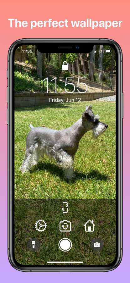 Lockne壁纸app官网下载安装-Lockne壁纸最新版下载 4.0.1