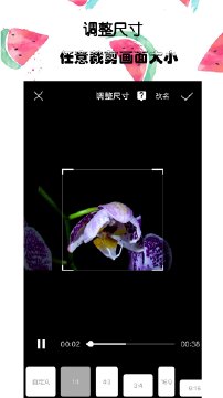 接招小视频剪辑会员免费版下载-接招小视频剪辑会员官网app手机版下载 1.4