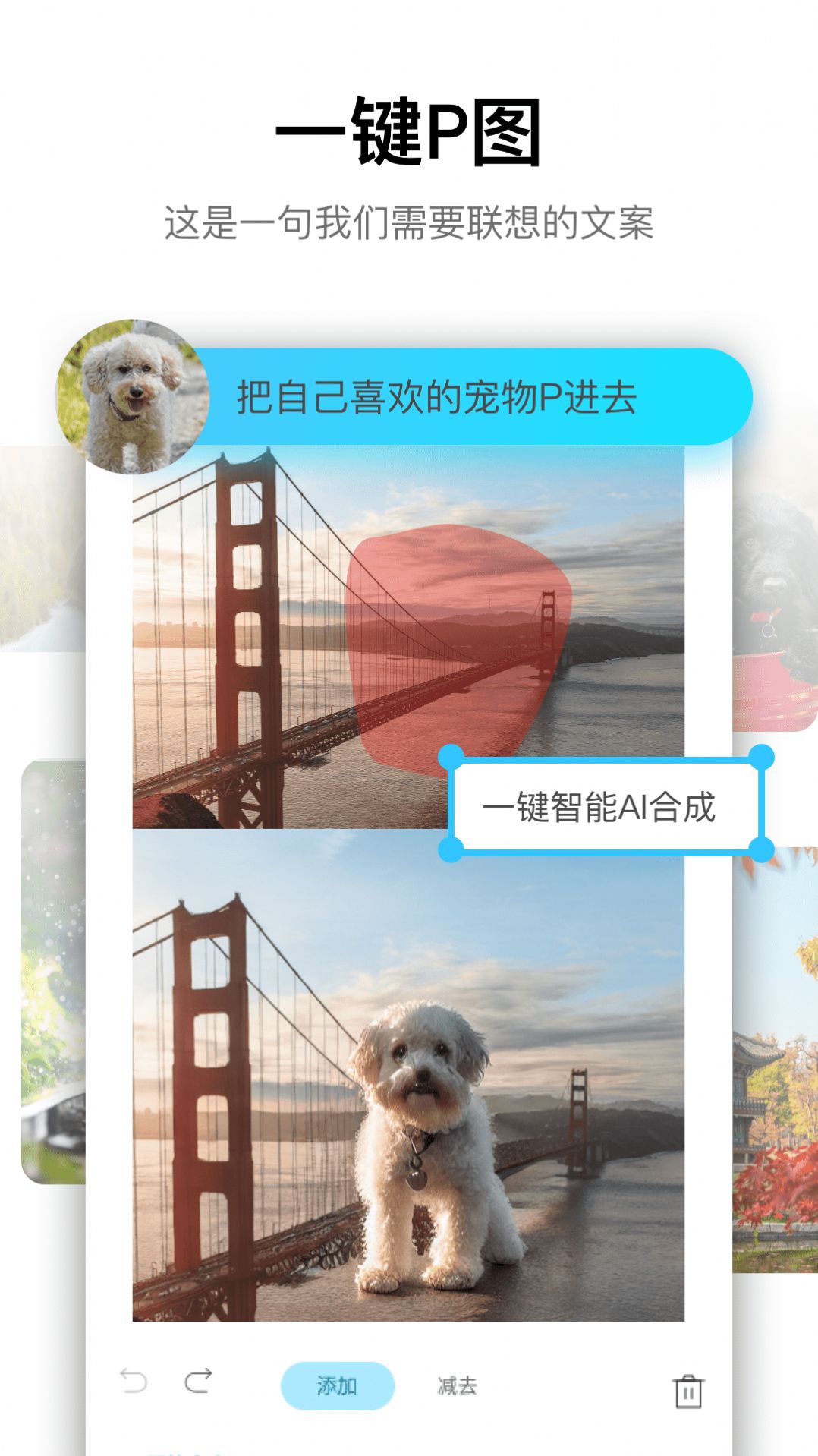 psgoapp下载-psgo最新版下载 1.0.0