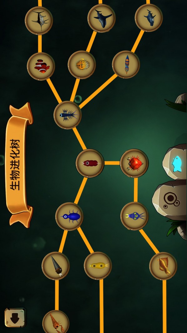 物种进化模拟器手游下载-物种进化模拟器最新版游戏下载 1.0