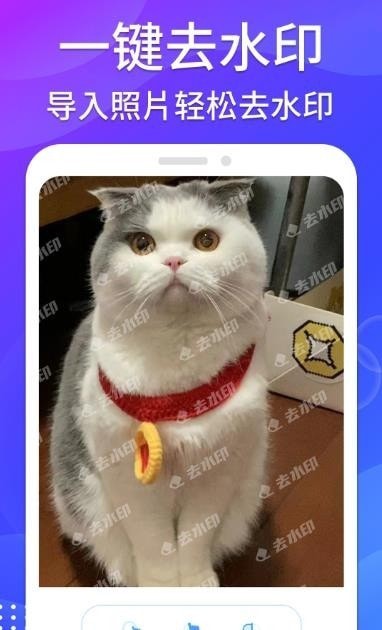 哈屏去水印app官网下载安装-哈屏去水印最新版下载 1.0.0
