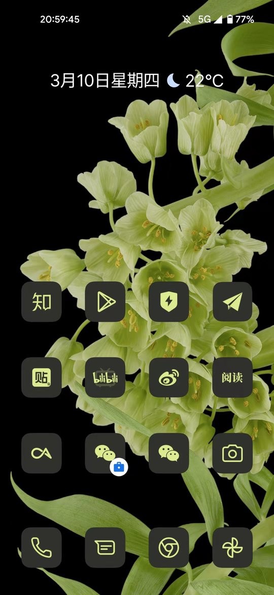 cayicons手机版下载-cayiconsapp下载最新版 23.02.22