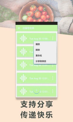 变声专家钻石版最新版下载-变声专家钻石版app下载 1.0.9