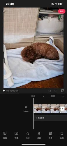 JR剪辑app官网下载安装-JR剪辑最新版下载 1.0.1