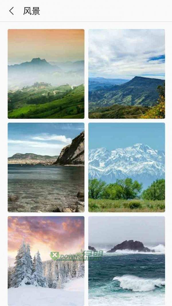 芒果壁纸手机版官网下载安装-芒果壁纸手机app最新版下载 3.2.8