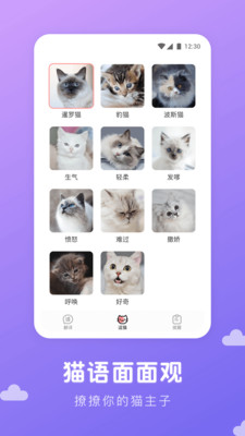 猫语翻译君app下载免费版-猫语翻译君最新版下载 1.0.8