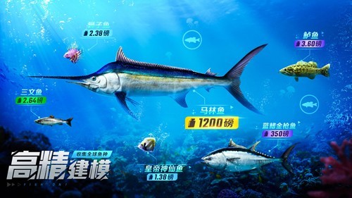 欢乐钓鱼大师修改器游戏下载-欢乐钓鱼大师修改器游戏最新版 1.0.0.48207
