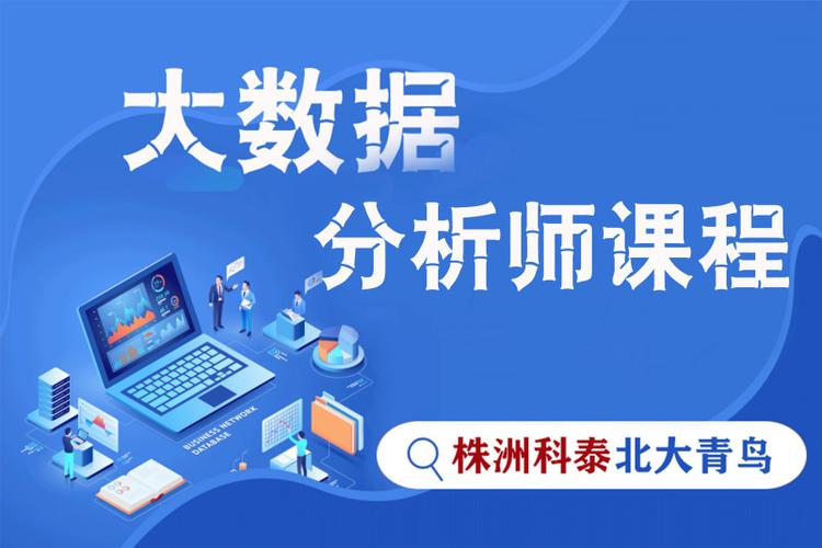 数据分析师需要学哪些课程(数据分析师35岁以后怎么办)