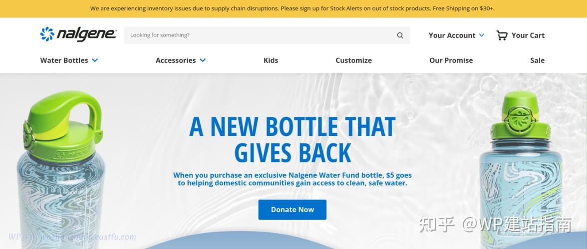 cms是什么公司(cms公司是什么意思)