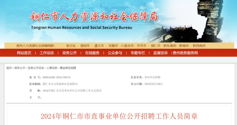 贵阳软件产业分布(贵阳市软件开发公司招工情况)