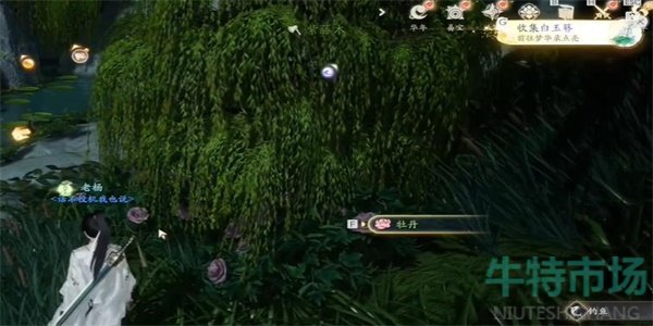 《射雕》手游白玉簪获取方法