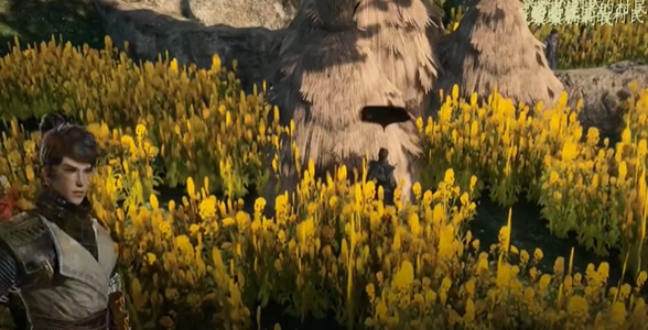 下一站江湖2丢失的手镯任务怎么过