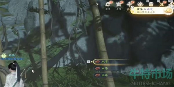 《射雕》手游五鼎芝获取方法