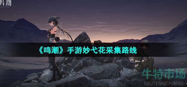鸣潮妙弋花采集路线是什么-妙弋花采集路线