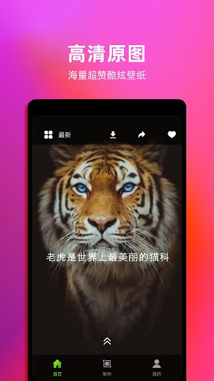 live动态壁纸app下载安装-live动态壁纸最新版本下载 1.4