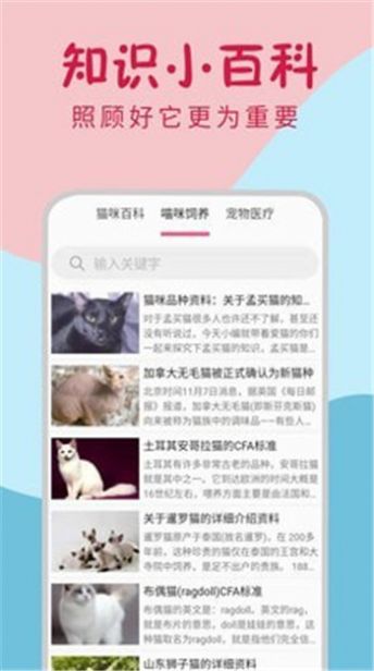 小猫翻译器app下载安装-小猫翻译器最新版本下载 1.0.4