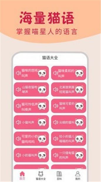 小猫翻译器app下载安装-小猫翻译器最新版本下载 1.0.4