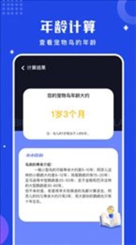 鸟语语言翻译器app官网下载安装-鸟语语言翻译器软件手机版下载 1.1