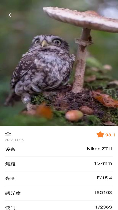 潮流秀安卓版下载-潮流秀app下载v1.0.0