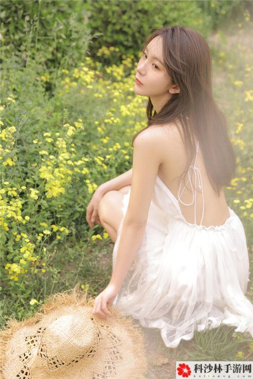 40岁阿姨荒野大镖客一电影内容：重拾梦想与勇气的旅程