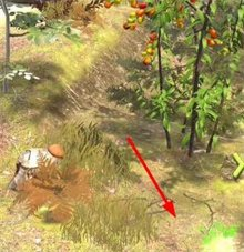 夺笋高手彩蛋攻略 隐藏彩蛋图鉴