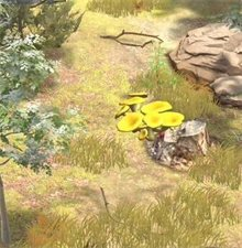 夺笋高手彩蛋攻略 隐藏彩蛋图鉴