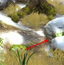 夺笋高手彩蛋攻略 隐藏彩蛋图鉴