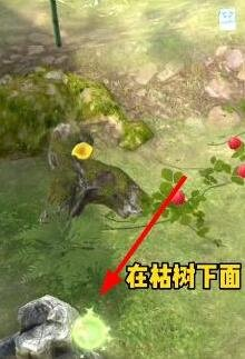 夺笋高手彩蛋攻略 隐藏彩蛋图鉴