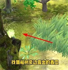 夺笋高手彩蛋攻略 隐藏彩蛋图鉴