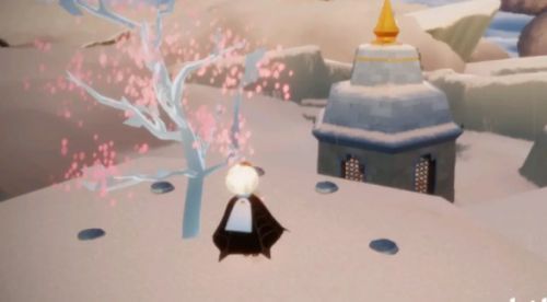 光遇云野小树苗怎么收集？云野小树苗位置分享[多图]图片2