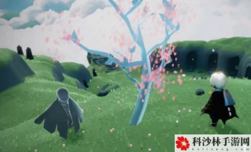 光遇云野小树苗怎么收集？云野小树苗位置分享