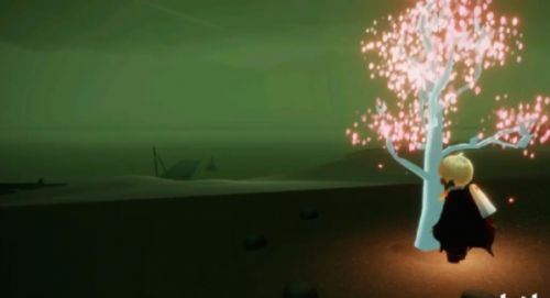 光遇云野小树苗怎么收集？云野小树苗位置分享[多图]图片3