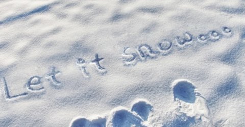 雪地写字生成器中文版下载-雪地写字生成器软件免费下载v4.0.8.2