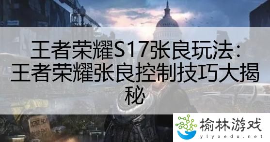 王者荣耀S17张良玩法：王者荣耀张良控制技巧大揭秘