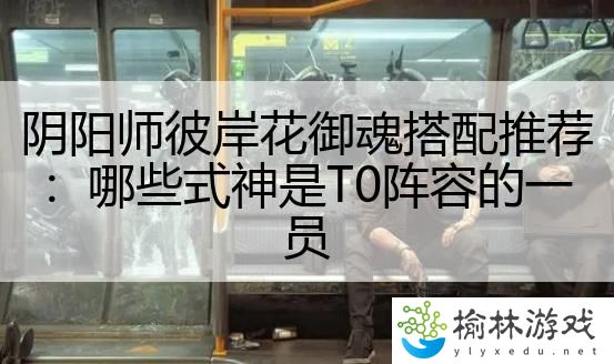 阴阳师彼岸花御魂搭配推荐：哪些式神是T0阵容的一员