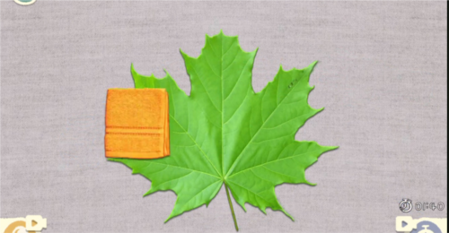 收纳物语树叶拓印怎么过 图文通关攻略