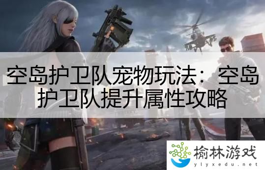 空岛护卫队宠物玩法：空岛护卫队提升属性攻略