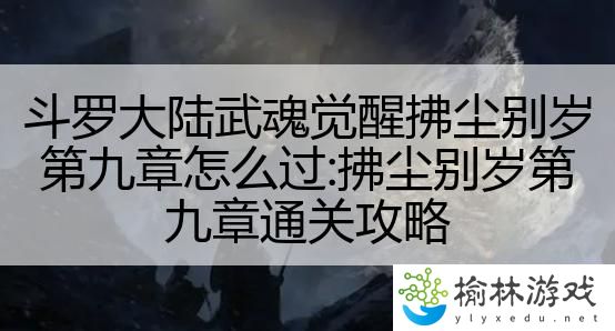 斗罗大陆武魂觉醒拂尘别岁第九章怎么过：拂尘别岁第九章通关攻略