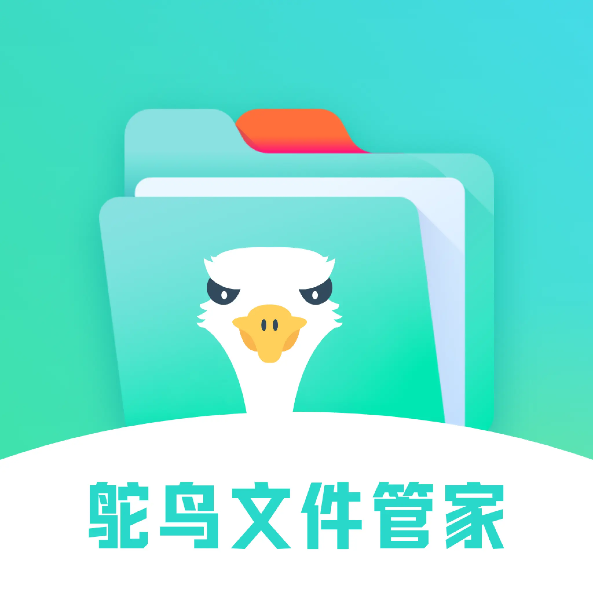 鸵鸟文件管家