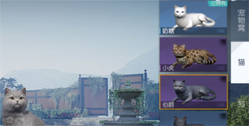 黎明觉醒宠物系统怎么解锁 宠物获得方法