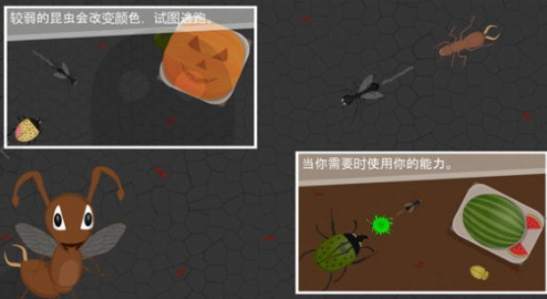 蚂蚁进化世界v5.95-蚂蚁进化世界玩家将扮演蚂蚁角色