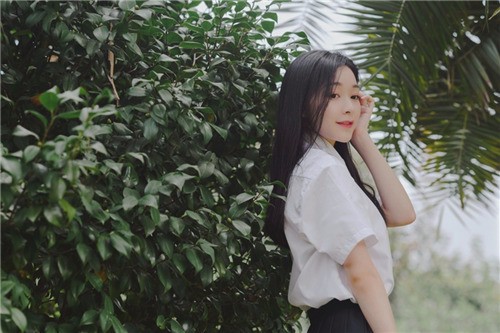 坐在学霸的鸡上背单词双楠App下载-坐在学霸的鸡上背单词双楠App免费下载安装