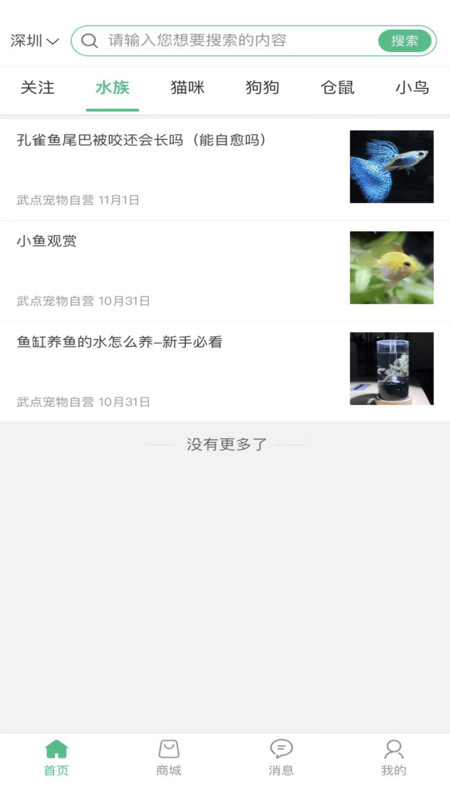 武点宠物.jpg